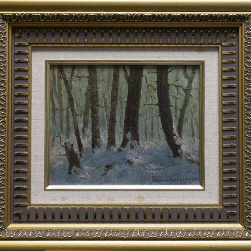 Winter in The Forest