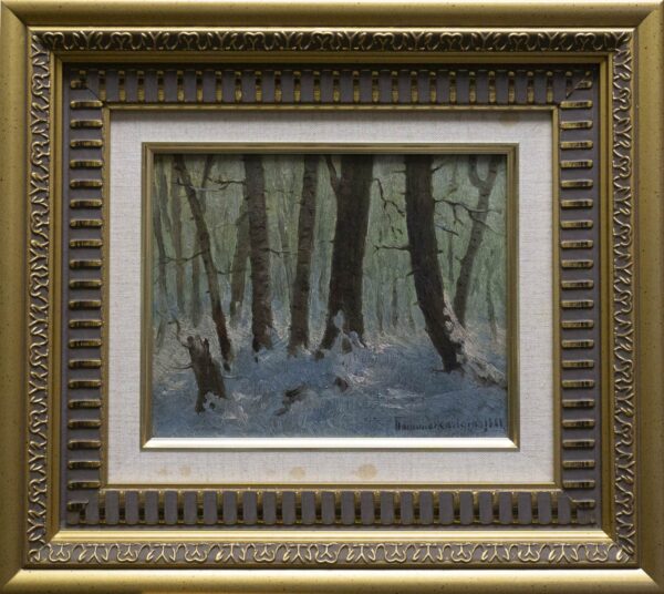 Winter in The Forest
