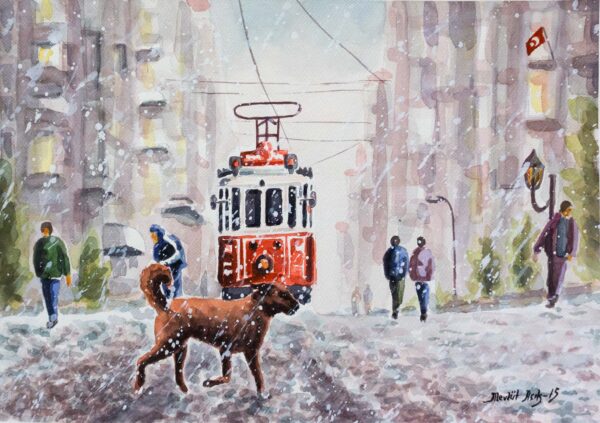 Winter in Istanbul