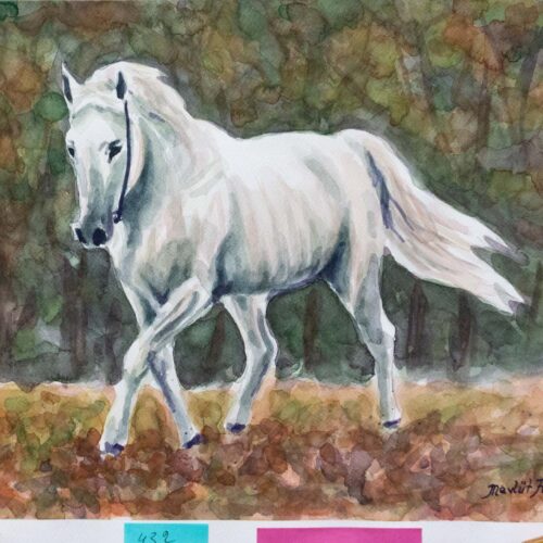 White Horse