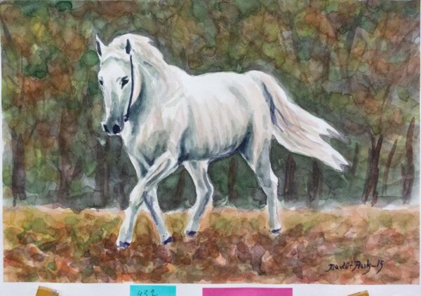 White Horse